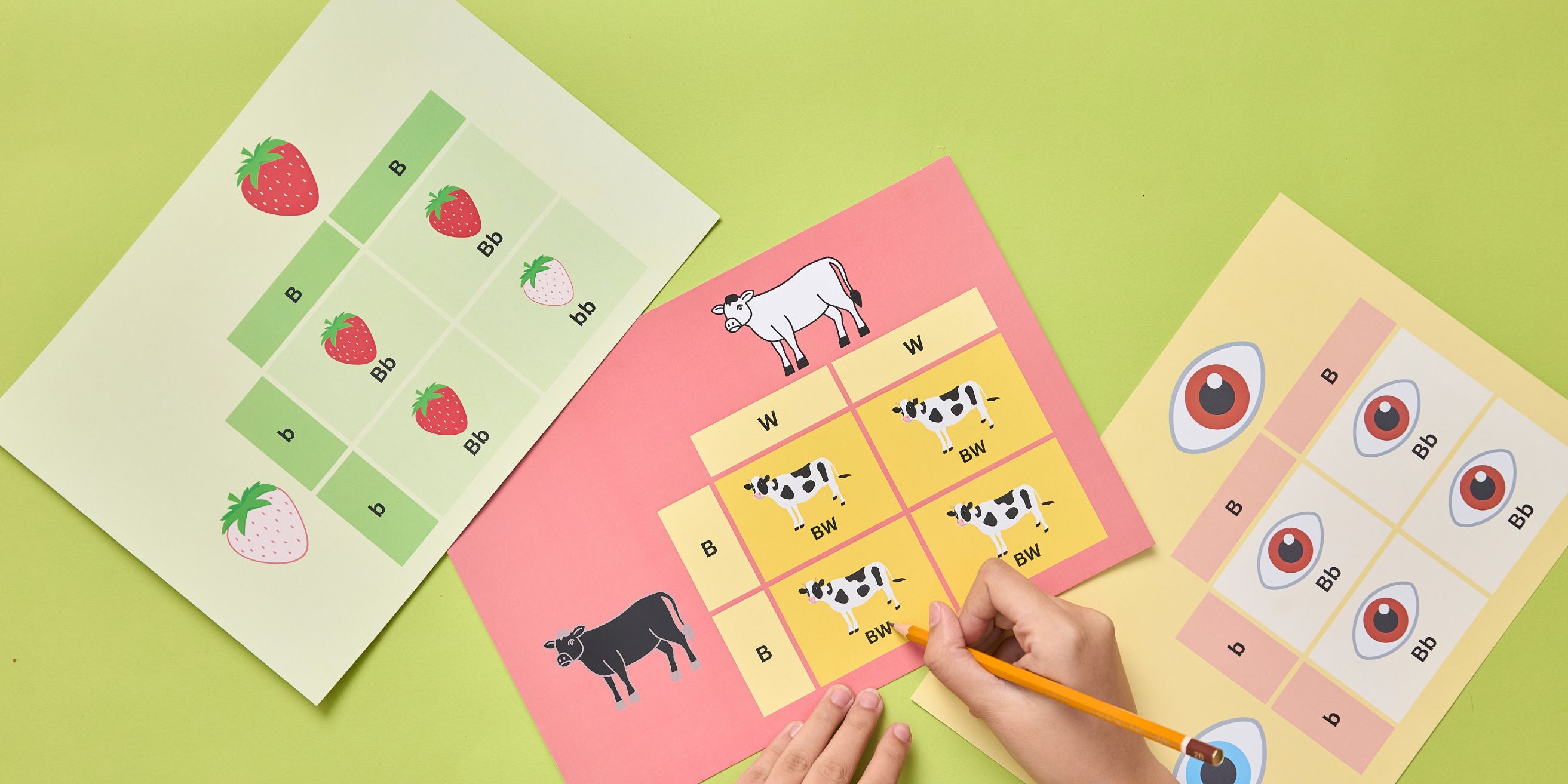 Printable Worksheets